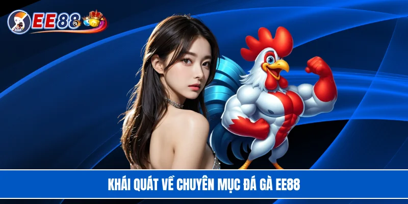 Khái quát về chuyên mục đá gà EE88